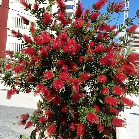 Atico En Con Vistas Apartamento Calpe